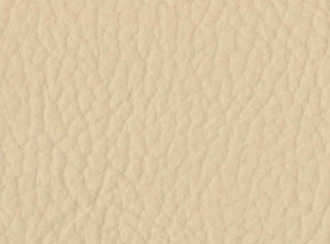 Ivory Style Leather 