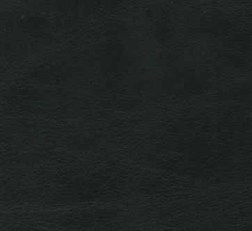 Black  Italian Leather