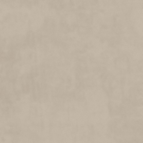 Plush Velvet - Bone Cream