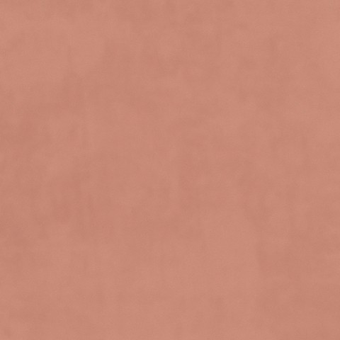 Plush Velvet - Blush Pink