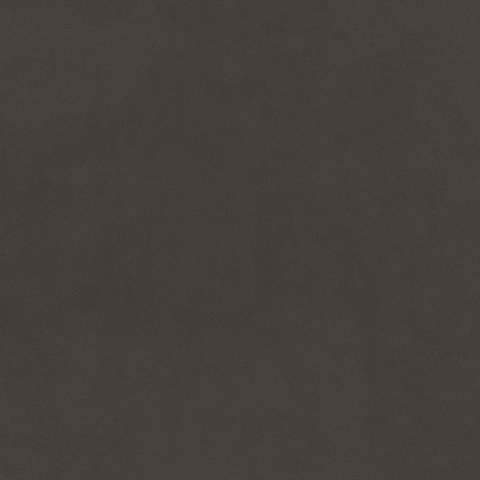 Plush Velvet - Asphalt Dark Grey