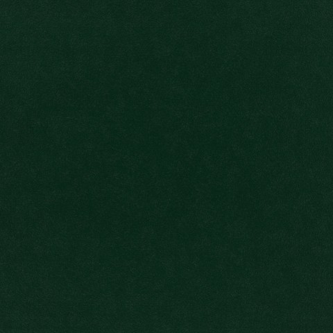 Plush Velvet - Hunter Dark Green