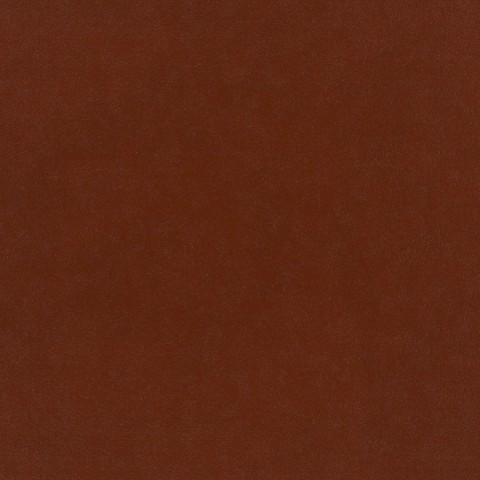 Plush Velvet - Umber Dark Orange