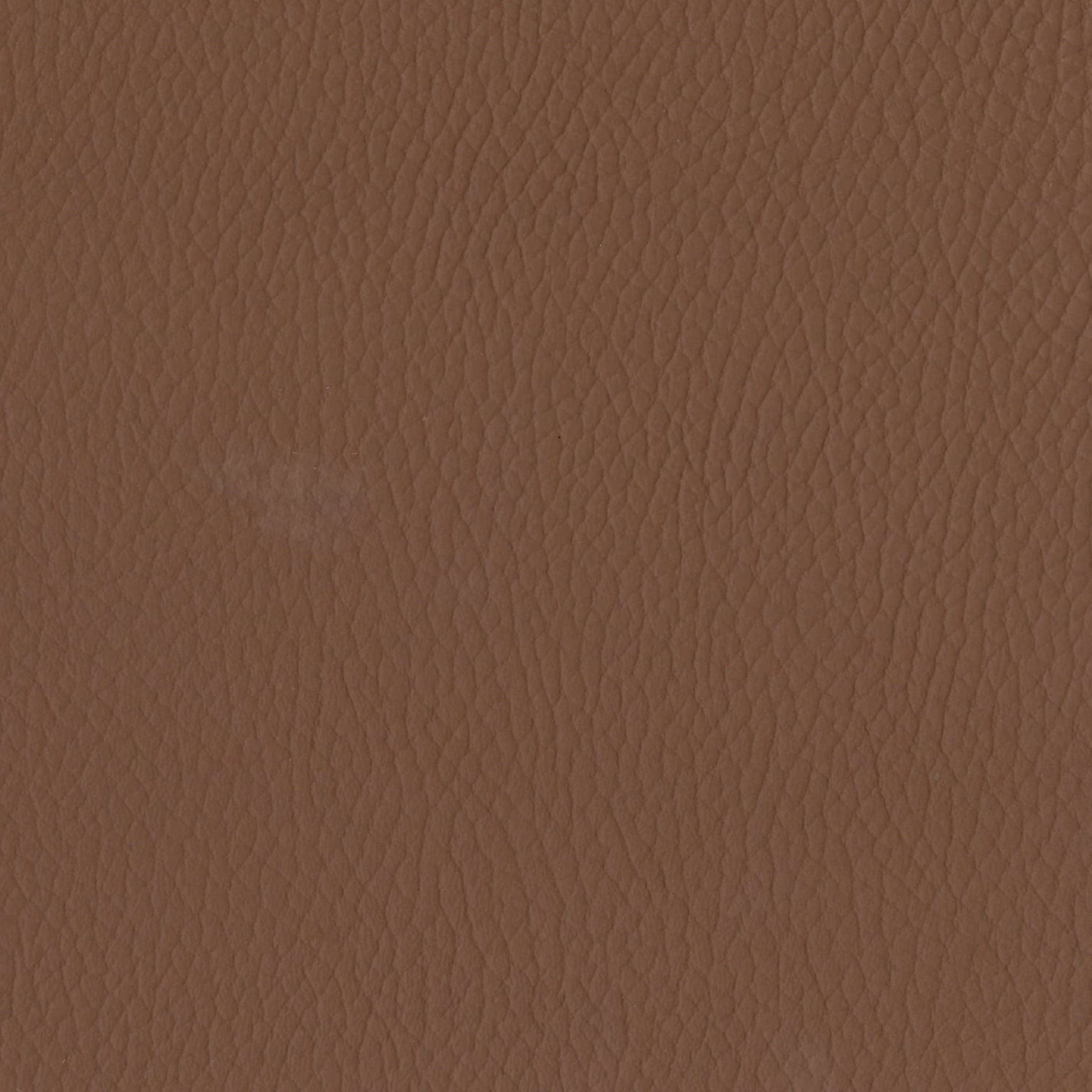 Cocoa Beech Wood (Brown) Style Leather 